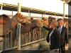 18.02.2007 Delegation der Bayer. Staatsregierung zu Staatsbesuch in Dubai